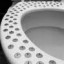 dunny_seat